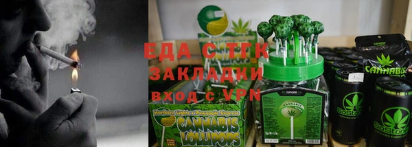 гидра Горняк