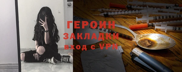 гидра Горняк