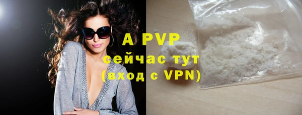 гидра Горняк