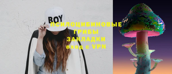 гидра Горняк