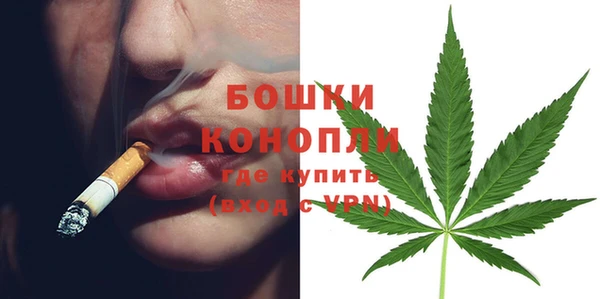 метадон Вяземский