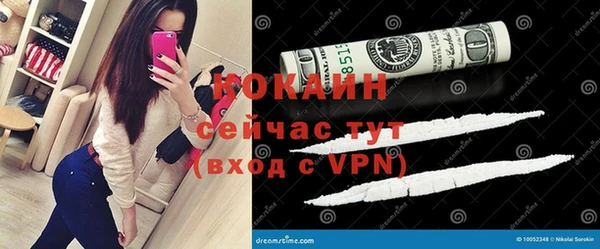 гидра Горняк