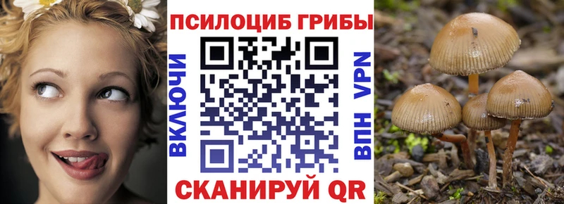 Галлюциногенные грибы GOLDEN TEACHER  Купить где  Хвалынск 